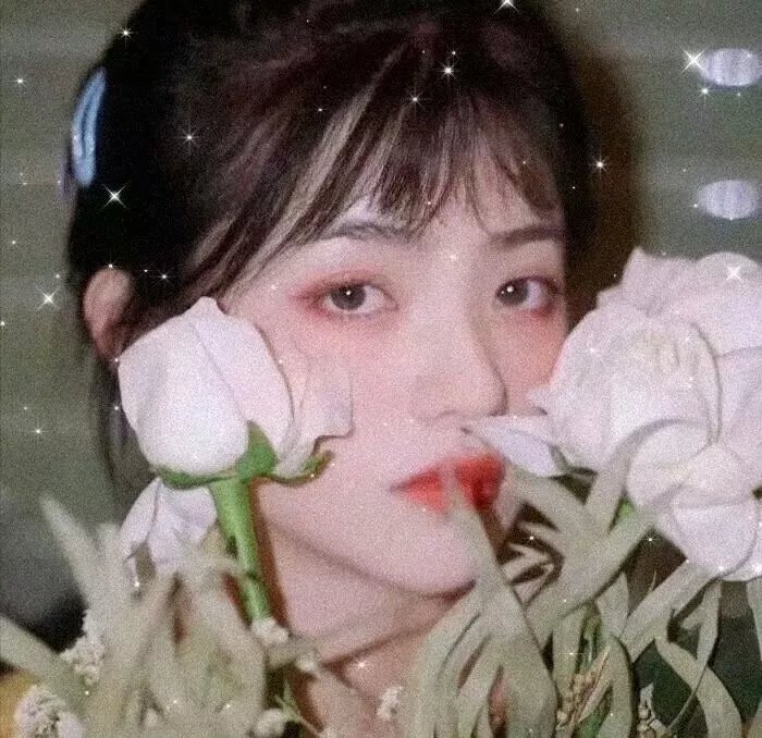 战火中的小狐狸